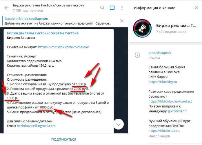 Заработок на рекламе в Тик Ток
